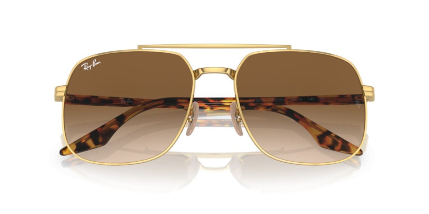 Gafas de Sol Ray-Ban RB3699 001/51 59 18