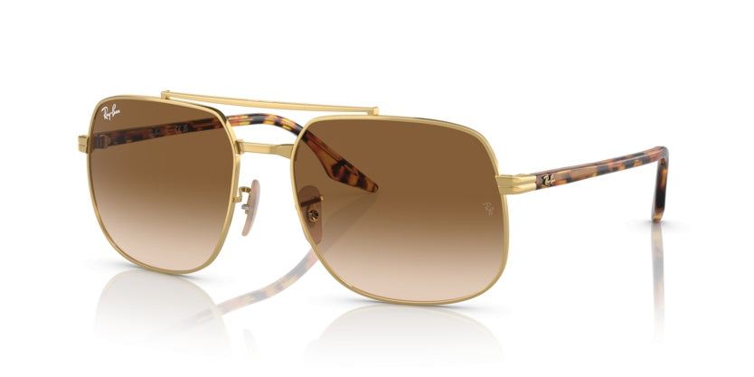 Gafas de Sol Ray-Ban RB3699 001/51 56 18