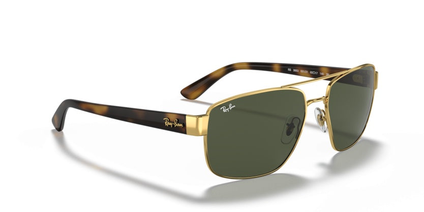 Gafas de Sol Ray-Ban RB3663 001/31 60 17