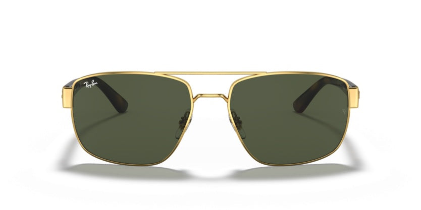 Gafas de Sol Ray-Ban RB3663 001/31 60 17