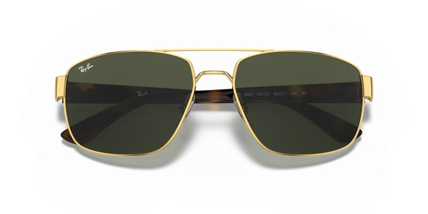 Gafas de Sol Ray-Ban RB3663 001/31 60 17