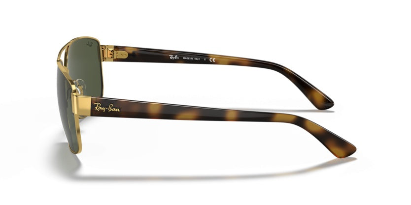 Gafas de Sol Ray-Ban RB3663 001/31 60 17