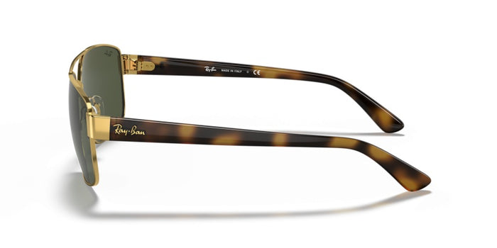 Ray-Ban RB3663 001/31 60 17 太阳镜 — vista 3