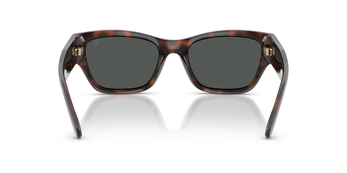 Gafas de Sol Ralph Lauren RL8240U 624187 55 19 — Imagen 3