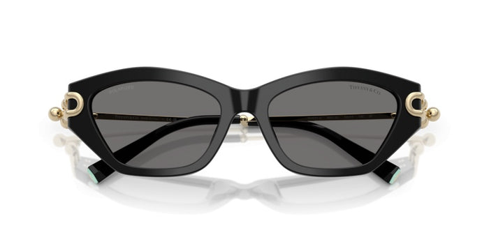 Sonnenbrillen Tiffany&Co TF4231U 800181 53 17 — vista 4
