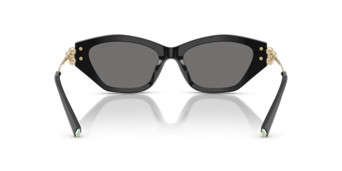 Sonnenbrillen Tiffany&Co TF4231U 800181 53 17 — vista 5