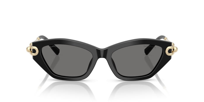 Sonnenbrillen Tiffany&Co TF4231U 800181 53 17 — vista 2