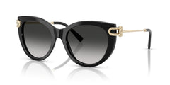 Солнцезащитные очки Tiffany&Co TF4232 80013C 53 19