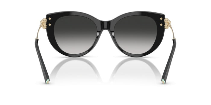 Lunettes de Soleil Tiffany&Co TF4232 80013C 53 19 — vista 4