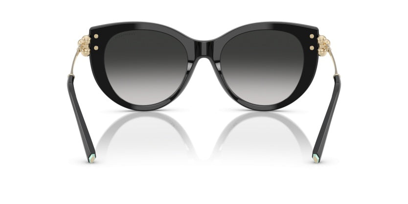 Gafas de Sol Tiffany&Co TF4232 80013C 53 19