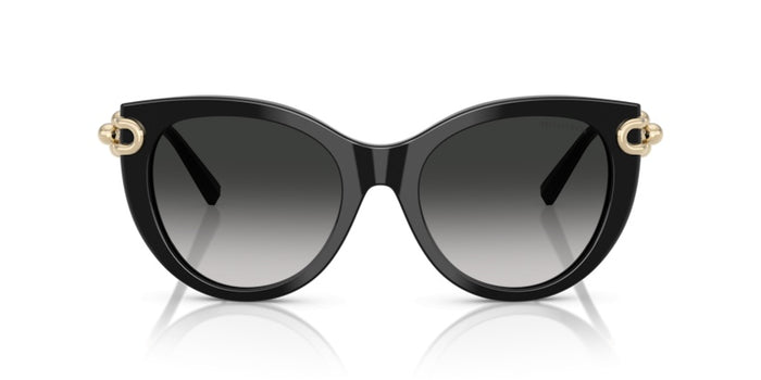 Lunettes de Soleil Tiffany&Co TF4232 80013C 53 19 — vista 2