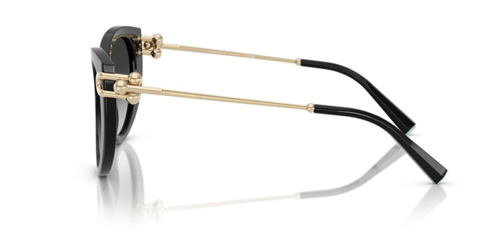 Lunettes de Soleil Tiffany&Co TF4232 80013C 53 19 — vista 3