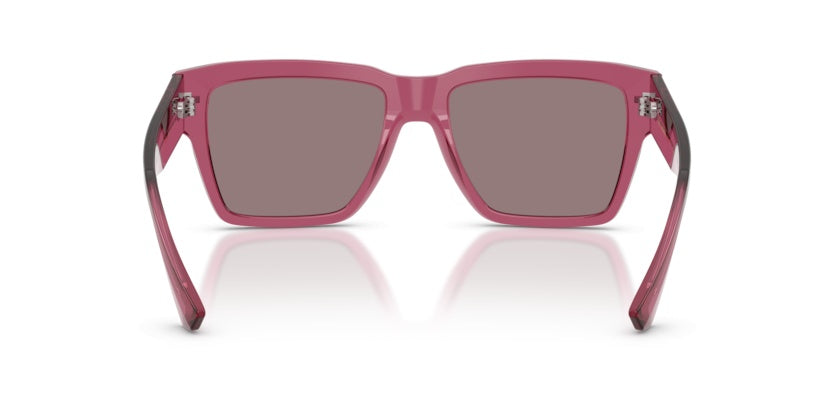Gafas de Sol Dolce Gabbana DG4431 32117N 55 18