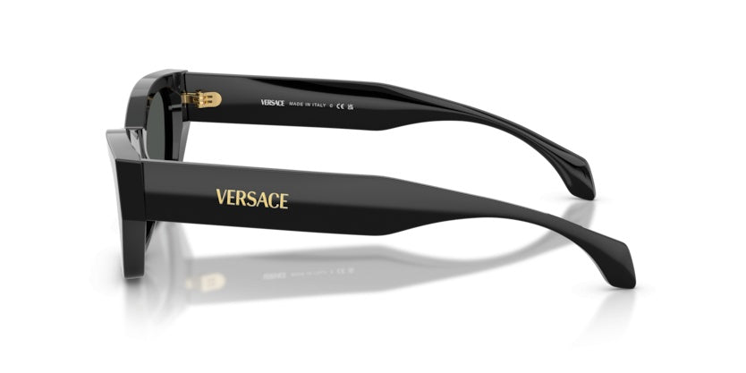 Gafas de Sol Versace VE4488U GB1/87 53 17