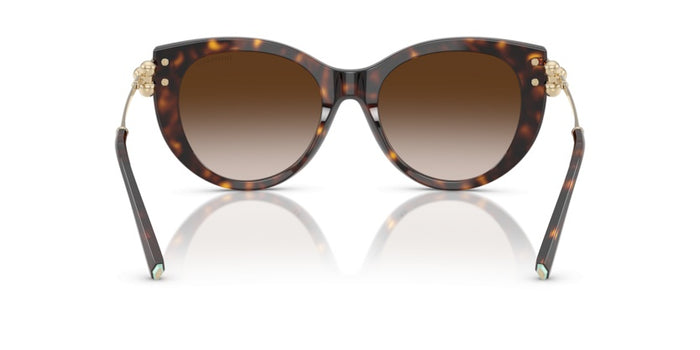 Sonnenbrillen Tiffany&Co TF4232 80153B 53 19 — vista 4