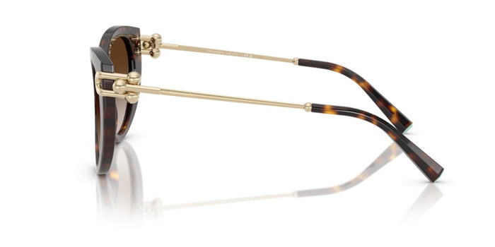 Sonnenbrillen Tiffany&Co TF4232 80153B 53 19 — vista 3