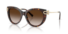 Sunglasses Tiffany&Co TF4232 80153B 53 19