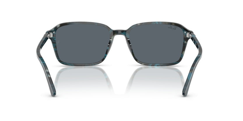 Gafas de Sol Ray-Ban Raimond RB2231 1417R5 56 18