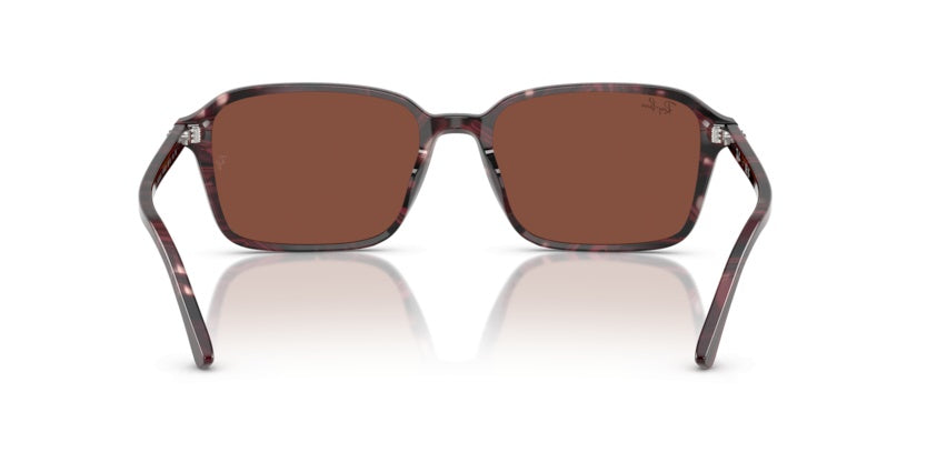 Gafas de Sol Ray-Ban Raimond RB2231 1416C5 56 18