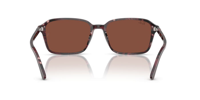 Солнцезащитные очки Ray-Ban Raimond RB2231 1416C5 56 18 — vista 4