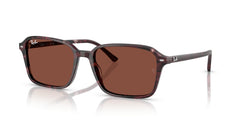 Sonnenbrillen Ray-Ban Raimond RB2231 1416C5 56 18