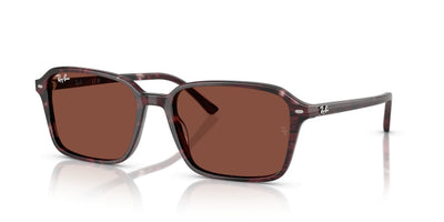 Sunglasses Ray-Ban Raimond RB2231 1416C5 56 18