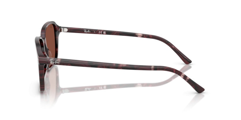 Gafas de Sol Ray-Ban Raimond RB2231 1416C5 56 18
