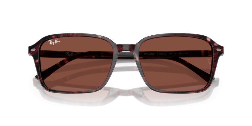 Gafas de Sol Ray-Ban Raimond RB2231 1416C5 56 18