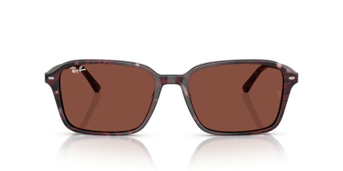 Солнцезащитные очки Ray-Ban Raimond RB2231 1416C5 56 18 — vista 2
