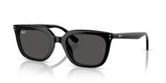 Sonnenbrillen Ray-Ban RB4439D 901/87 54 21