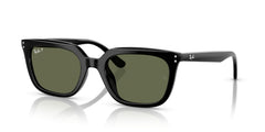 Lunettes de Soleil Ray-Ban RB4439D 901/9A 54 21