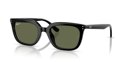 Sonnenbrillen Ray-Ban RB4439D 901/9A 54 21