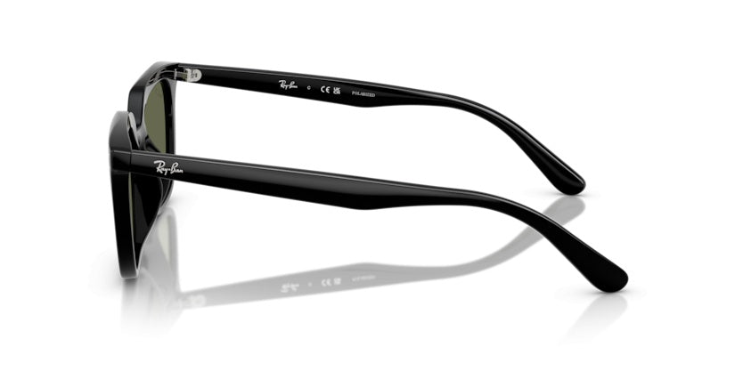 Gafas de Sol Ray-Ban RB4439D 901/9A 54 21