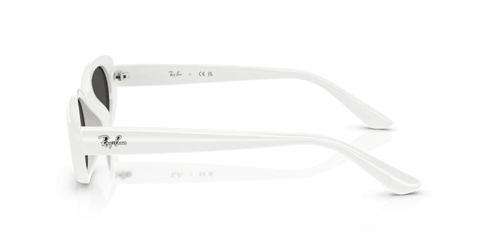 Gafas de Sol Ray-Ban RB4441D 677287 53 21 — vista 3