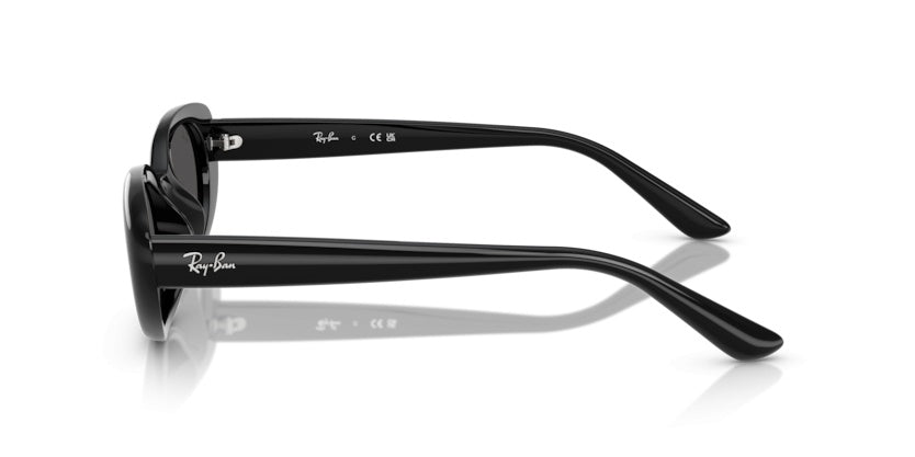 Gafas de Sol Ray-Ban RB4441D 667787 53 21