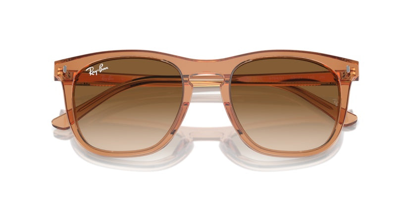 Gafas de Sol Ray-Ban RB2210 676451 53 21