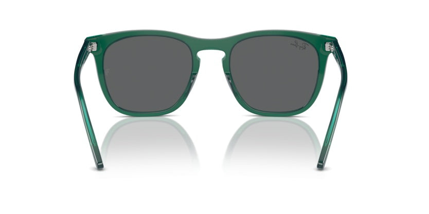 Gafas de Sol Ray-Ban RB2210 6615B1 53 21