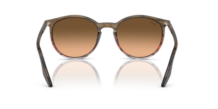 Lunettes de Soleil Ray-Ban RB2204 13953B 54 20 — vista 4