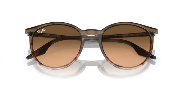 Lunettes de Soleil Ray-Ban RB2204 13953B 54 20 — vista 5
