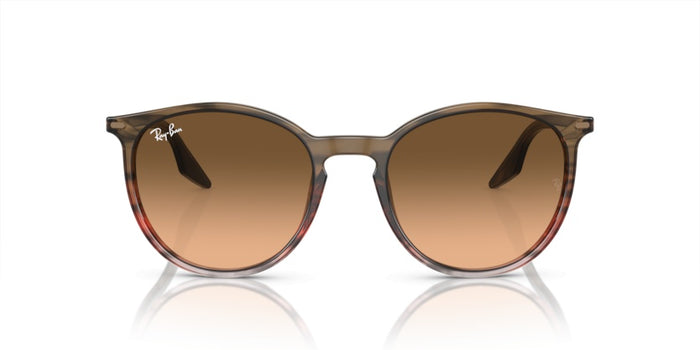 Lunettes de Soleil Ray-Ban RB2204 13953B 54 20 — vista 2