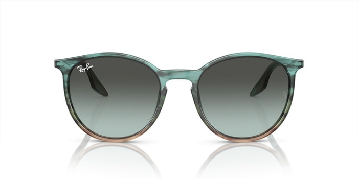 Gafas de Sol Ray-Ban RB2204 1394GK 54 20 — vista 2