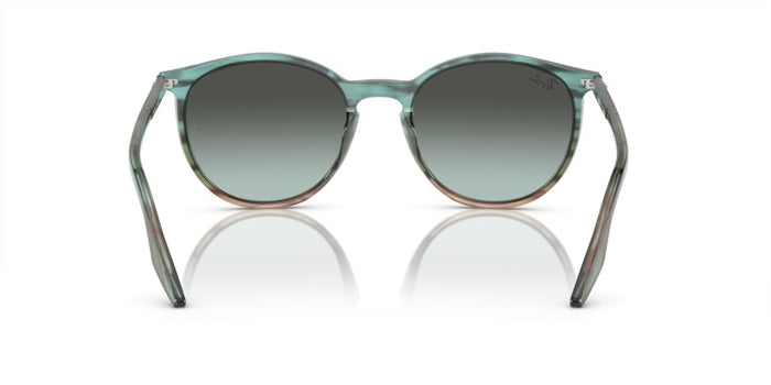 Gafas de Sol Ray-Ban RB2204 1394GK 54 20 — vista 4