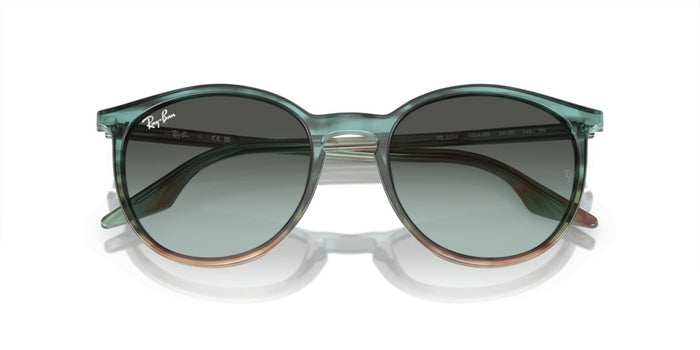 Gafas de Sol Ray-Ban RB2204 1394GK 54 20 — vista 5