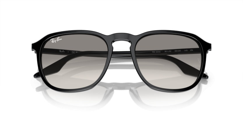 Gafas de Sol Ray-Ban RB2203 901/32 55 20
