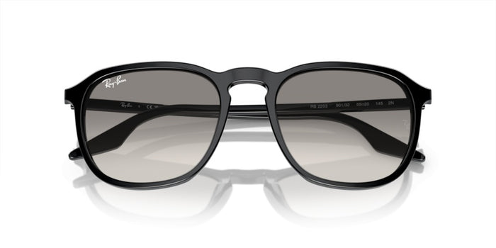 Gafas de Sol Ray-Ban RB2203 901/32 55 20 — vista 6