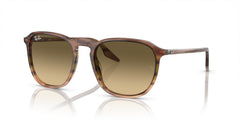 Sunglasses Ray-Ban RB2203 13920A 55 20