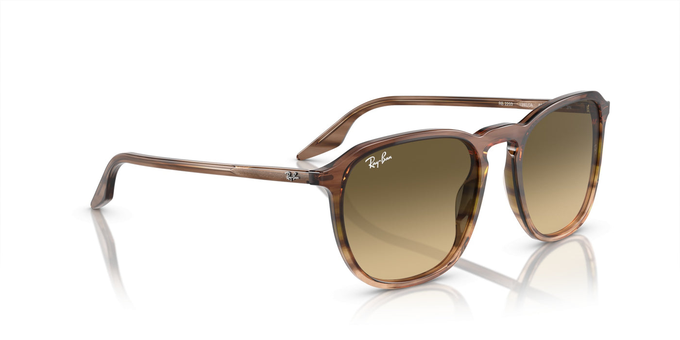 Gafas de Sol Ray-Ban RB2203 13920A 55 20