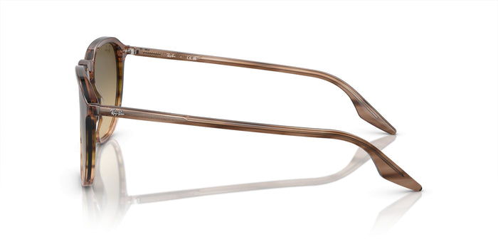 Gafas de Sol Ray-Ban RB2203 13920A 55 20 — vista 3
