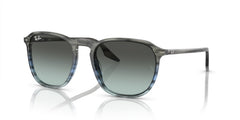 Sonnenbrillen Ray-Ban RB2203 1391GK 55 20