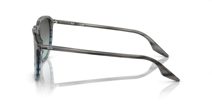 Gafas de Sol Ray-Ban RB2203 1391GK 55 20